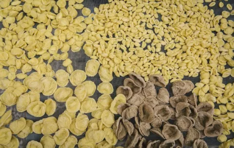 Abuelas italianas asustadas por acción antipasta