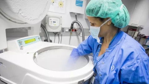 Estudio sobre vitrificación de óvulos de IVI recibe reconocimiento