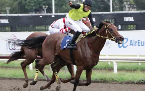 Star Galicia regresa en un competencia ante varias de las mejores yeguas de la plaza