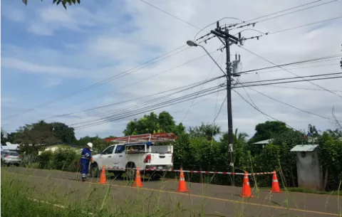 Yegua muere por descarga eléctrica en Las Cabras de Pesé, Herrera