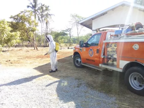 Abejas africanizadas atacan a unos 15 bañistas en el distrito de Alanje