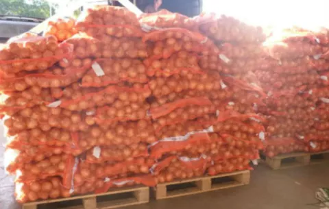 Piden a Aduanas que investigue importación de cebolla
