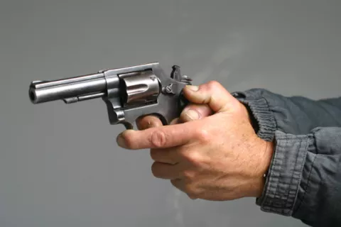 Regularización de compra de armas de fuego tomará meses