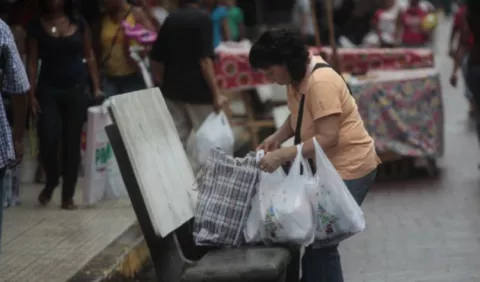 Almacenes no entregarán bolsas plásticas  