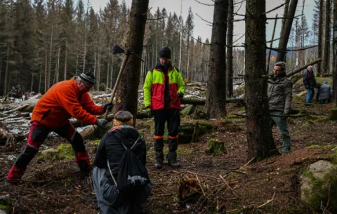Voluntarios intentan salvar los bosques de la sequía provocada por el cambio climático