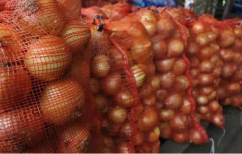 Acodeco detecta 19 marcas importadas de cebolla que incumplen con reglamento 