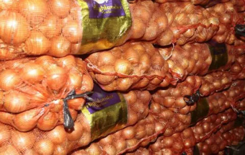 Cebolla que no cumpla con normativa técnica será retirada del mercado