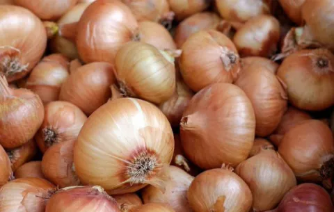 Productores y el Mida buscan acabar con productos vencidos  