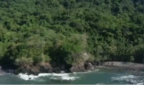 Baja cantidad de hechos contra el ambiente en región del Darién