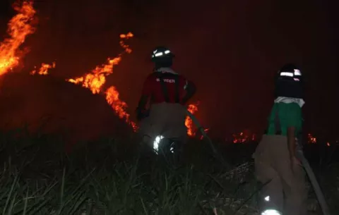 Se registran 37 incendios de masa vegetal en los primeros días del año 2020