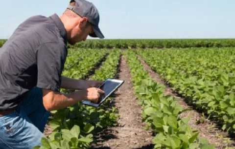  Instituto de Innovación Agropecuaria es necesario para que los productores sean competitivos y productivos