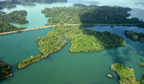 La ACP lanza una nueva alerta sobre niveles del lago Gatún 