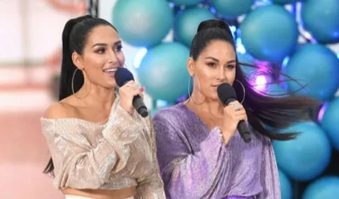 Las gemelas Nikki y Brie Bella anuncian que están embarazadas