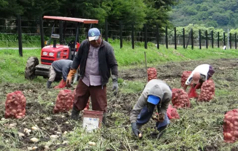 Panamá activa mecanismos de cooperación con Estados Unidos y Canadá