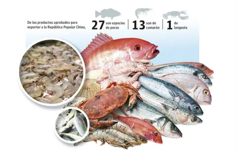 Panamá busca  exportar 41 rubros acuícolas a la República Popular de China
