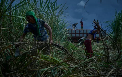 Filipinos son asesinados por reclamar tierras