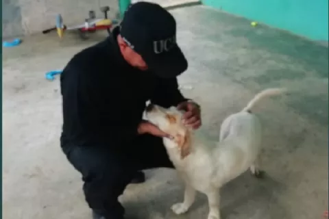 Policía Nacional sanciona a unidad de motorizados que roció gas pimienta a un perro 