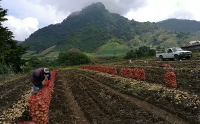 Ejecutivo busca impulsar el sector agropecuario con la aprobación de nuevas acciones