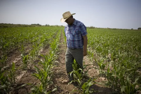 Productores piden la cabeza de Jorge Quintero, director de la Acodeco