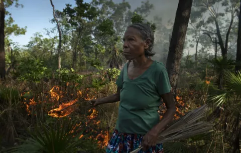Controlan incendios con método aborigen