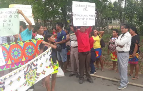 En la comarca Emberá-Wounaan se declaran en pie de guerra por la tala de árboles 