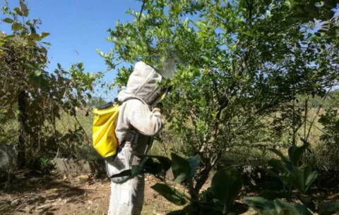 Bomberos en alerta por incremento de llamadas por presencia de abejas africanizada 