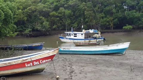 Anuncian operativos por veda del camarón en Los Santos