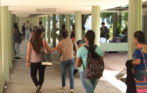 Ifarhu efectuará pago de Beca Universitaria el lunes 10 de febrero