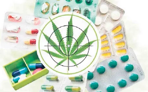 Proyecto sobre cannabis queda sujeto a aportes del Ministerio de Salud