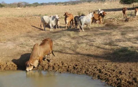 Agusto Valderrama: Plan de agua funciona con éxito en Azuero 