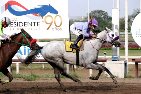 Darío Ruth tratará de soportar el peso del favoritismo ante rivales importados