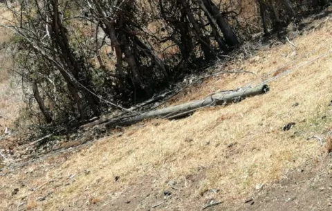 Fuertes vientos hacen estragos en Los Santos, tumban árboles y postes eléctricos