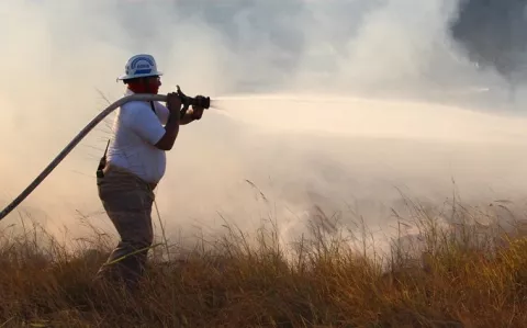 Cuerpo de Bomberos revela que incendios de masa vegetal aumentaron en Carnaval
