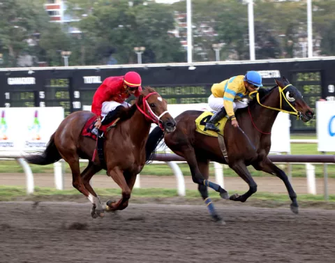 Diez rivales disputan casi $20 mil en carrera en honor a Adolfo “Red” Tinker