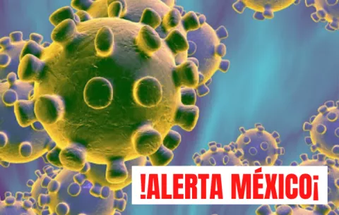 México confirma su primer caso de coronavirus, el segundo en América Latina 