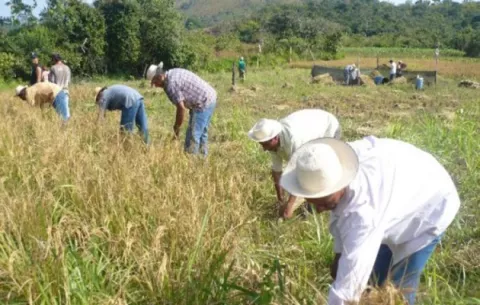 Mida: el sector agropecuario ha sufrido 'canalladas' en los últimos años