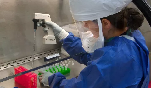 Panel sobre las mujeres y las niñas en la ciencia