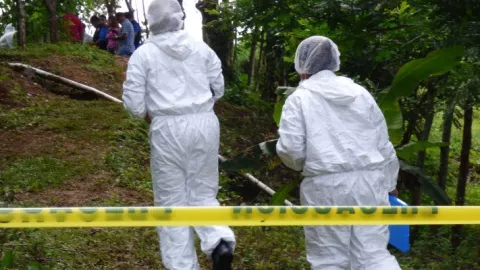 Encuentran osamenta en Golfito próximo a la frontera panameña