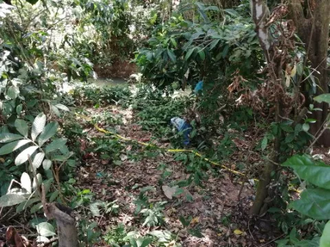 Hallan en sacos las piernas de menor de La Chorrera que supuestamente había devorado un cocodrilo