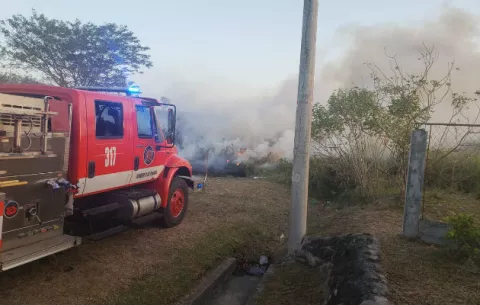 Penas de uno a tres años de prisión a quienes provoquen incendios de masa vegetal
