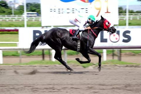 Quintus regresa a pista para ocupar su lugar entre los mejores nativos en carreras de velocidad