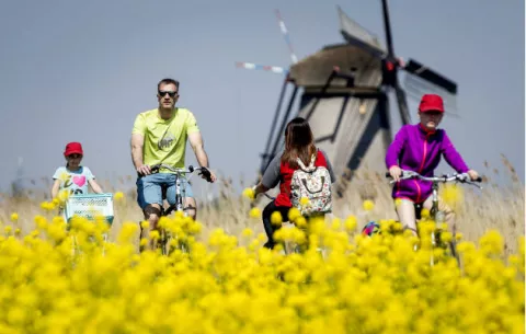 Holanda cambia su nombre a 'Países Bajos' para fortalecer el turismo