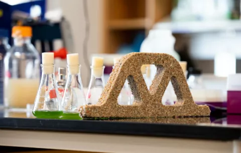 Investigadores crean un concreto viviente con capacidad de reproducirse 