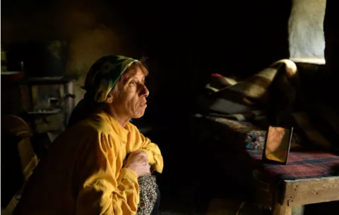 Honeyland: la vida de una apicultora es una historia universal