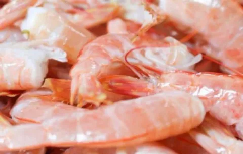  Inicia primer período de veda del camarón que se extenderá hasta el próximo 11 de abril