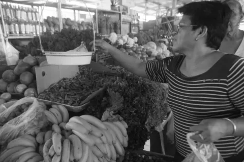 Los TLC en Panamá: éxito o fracaso