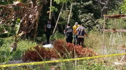 Prueba de ADN confirma la identidad de  Hernán Abrego