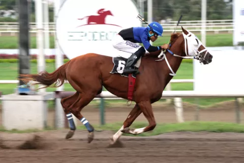 Blue Box competirá como punto clave en las carreras válidas para el 5 y 6