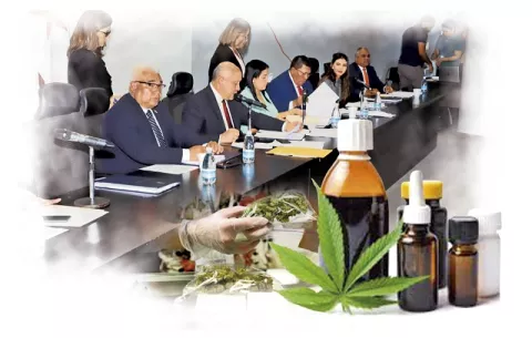 Cannabis medicinal pasa al Pleno en medio de disconformidades