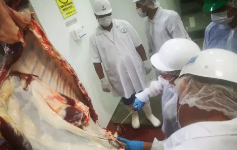 Panamá avanza para exportar carne bovina hacia EE.UU.